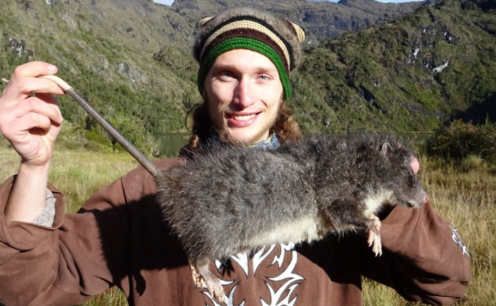 most endangered rat species most endangered rat species