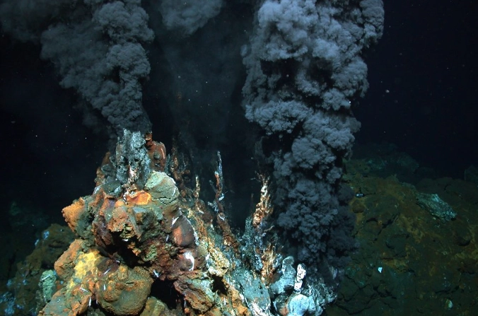 How long do iron snails live