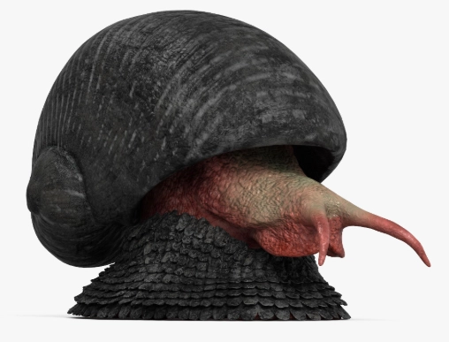 scaly-foot snail pet