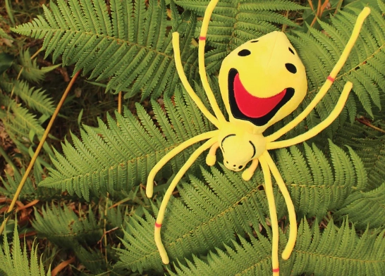 spider with smiley face spider with smiley face