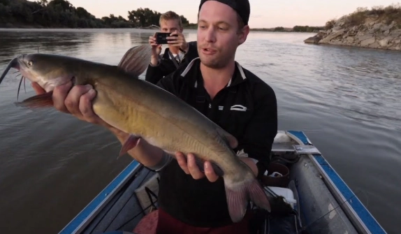 crazy catfish fishing