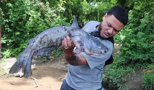 crazy catfish fishing