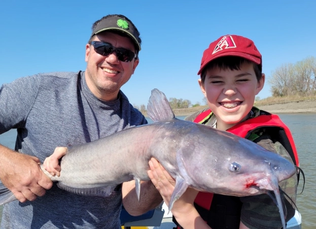 how to catch crazy catfish