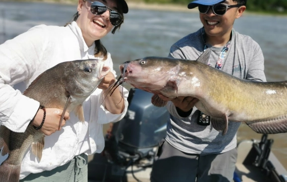 unpredictable catfish behavior