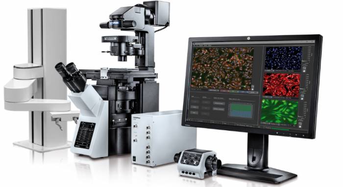 Scientists have developed artificial intelligence electron microscopy technology