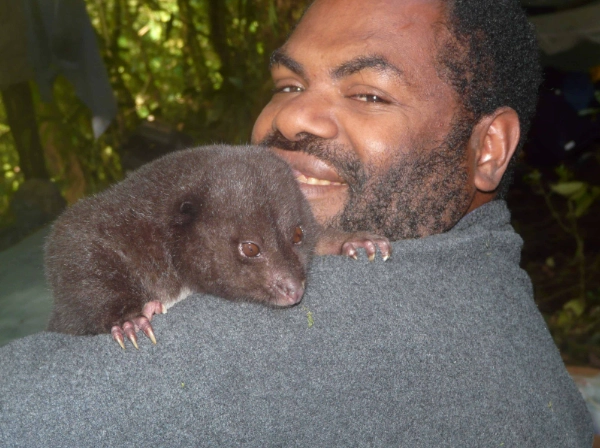 largest rat in the world