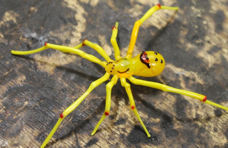 Spider smiley face sound