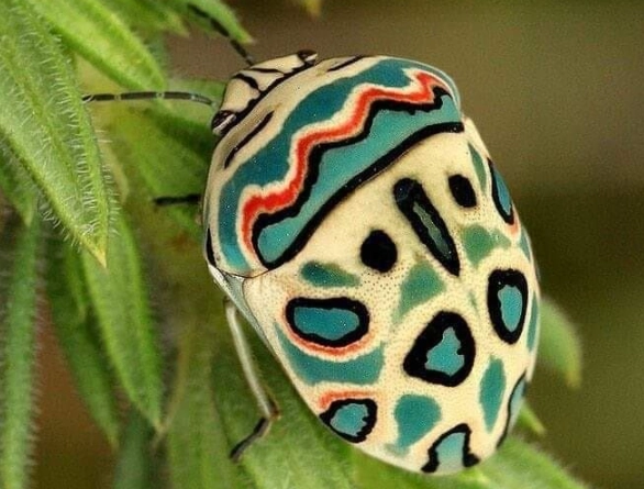 AI image generator security AI image generator security