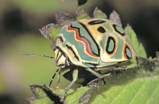 AI image generator security AI image generator security