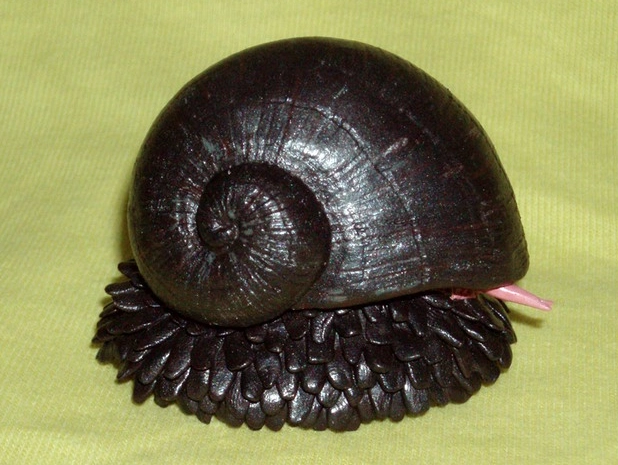 hydrothermal vent snail