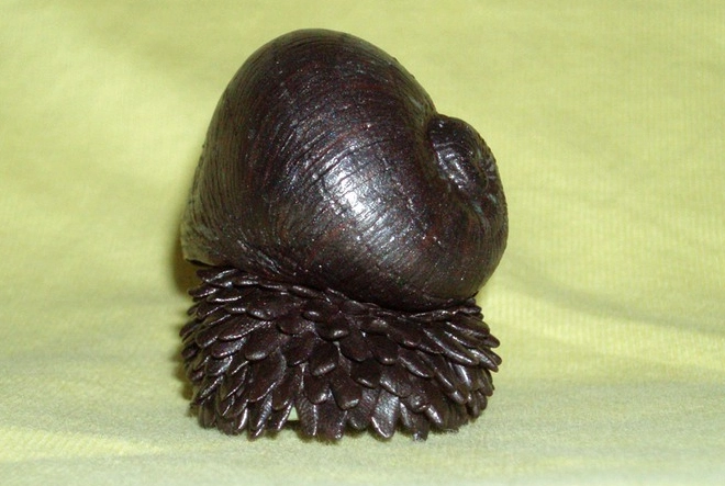 scaly-foot snail rarity
