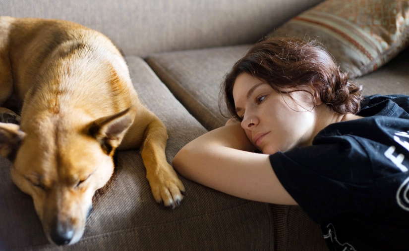 what is the 3-3-3 rule for cats