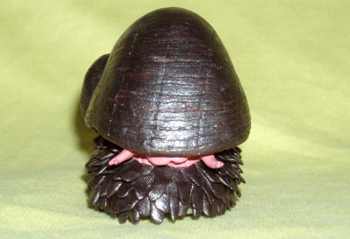 deep sea hydrothermal vent snail