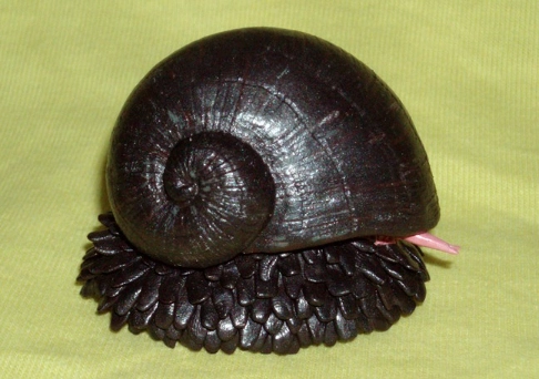 deep sea hydrothermal vent snail