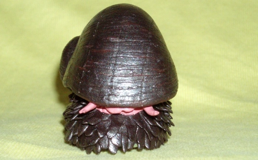 deep sea snail size