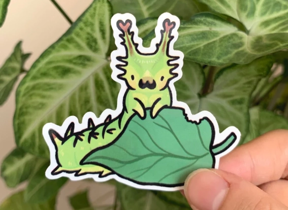 Japanese Emperor Caterpillar