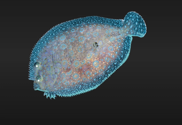 flounder camouflage