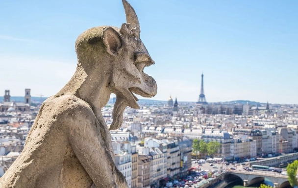 lions and tigers hybrid lions and tigers hybrid