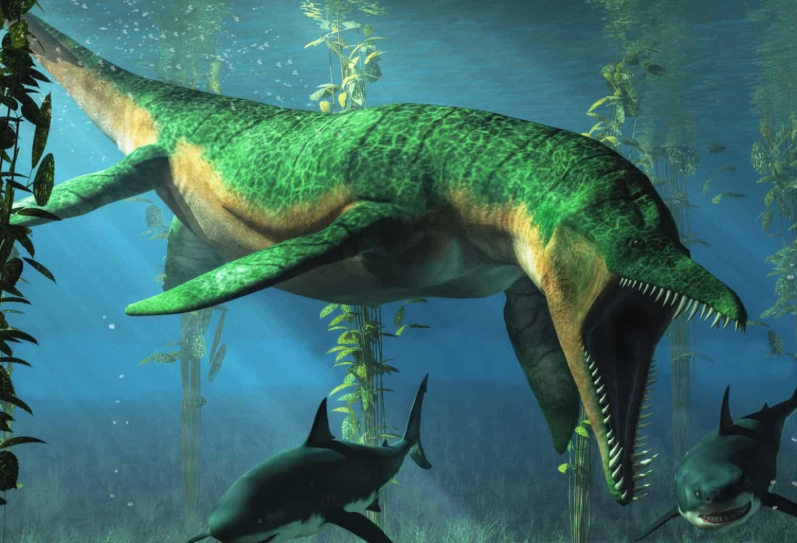 ancient predators comparison