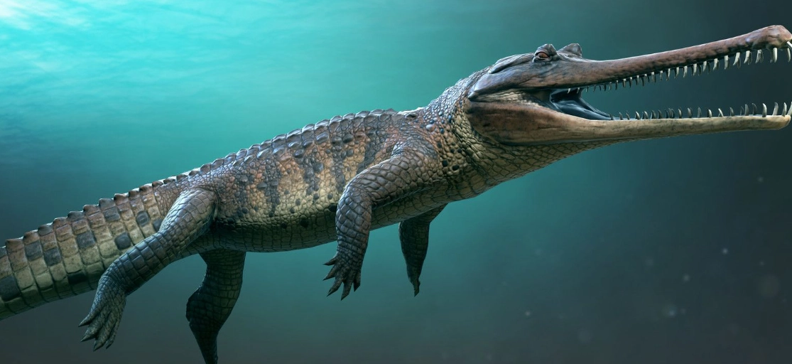 ancient predators comparison